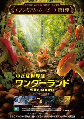 《小巨人3D》：奇幻冒险之旅，身临其境的视听盛宴