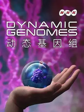 《动态基因组》：生命密码的诗篇，潜藏于细胞之中的奥秘