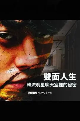 揭秘 Burning Sun：韩流明星聊天室丑闻背后的黑暗真相与人性挣扎