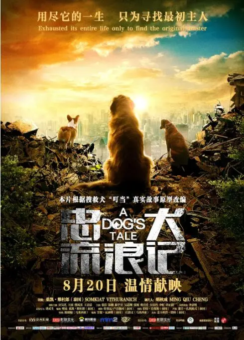 《忠犬流浪记》：狗狗的忠诚与救赎，都市角落里的温情守护