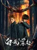 白云深处 海报